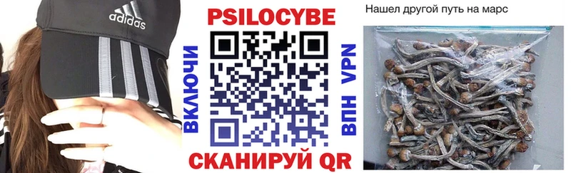 Псилоцибиновые грибы прущие грибы  кракен зеркало  Пересвет  наркота 